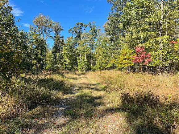 90.4 Acres of Recreational Land for Sale in Hastings, Pennsylvania