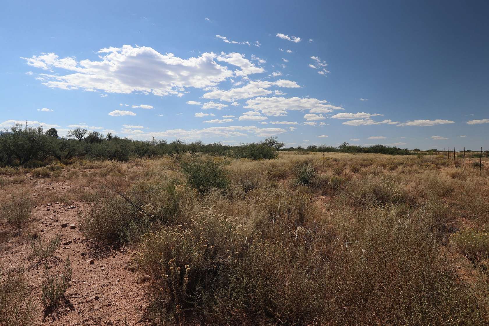 5 Acres of Agricultural Land for Sale in Benson, Arizona