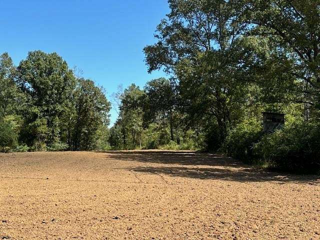 585 Acres of Recreational Land & Farm for Sale in Meadville, Mississippi