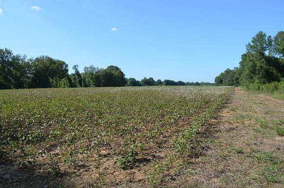 50 Acres of Recreational Land for Sale in Independence, Alabama