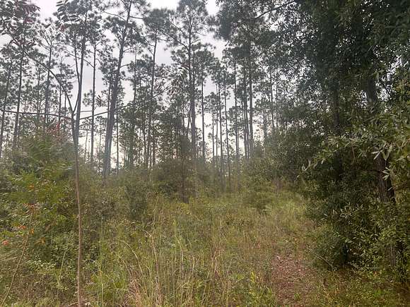 5.68 Acres of Residential Land with Home for Sale in Chipley, Florida