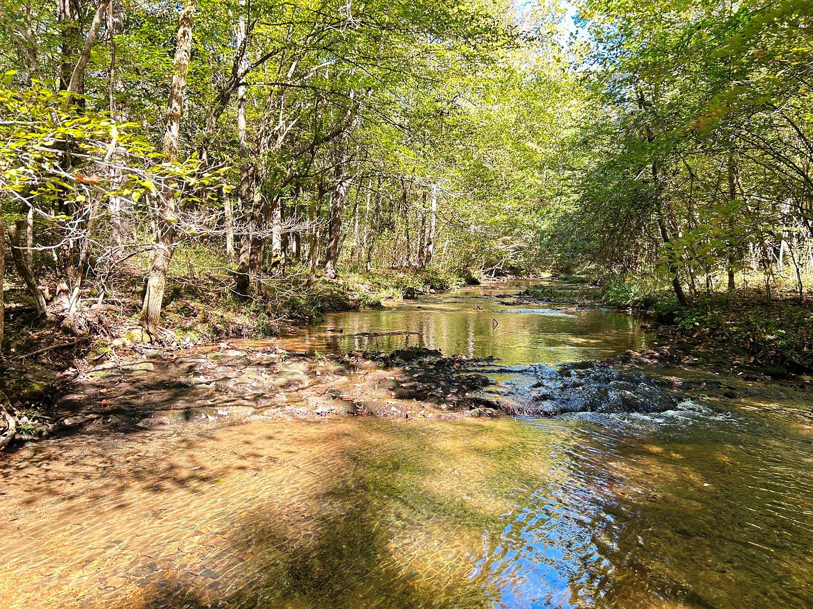 40 Acres of Recreational Land & Farm for Sale in Cave City, Arkansas