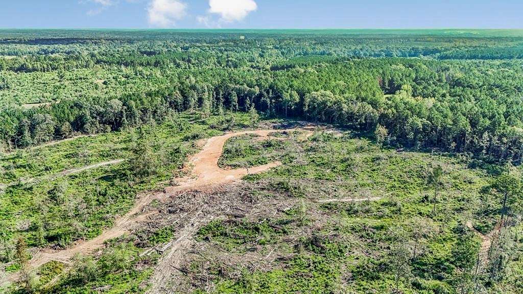 65 Acres of Land for Sale in Liberty, Mississippi - LandSearch