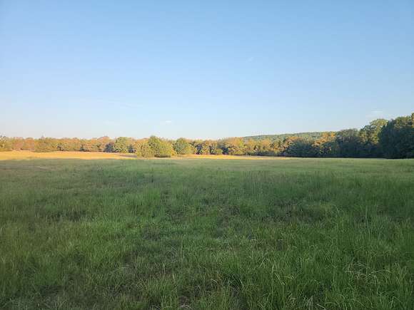 40 Acres of Recreational Land & Farm for Sale in Moyers, Oklahoma