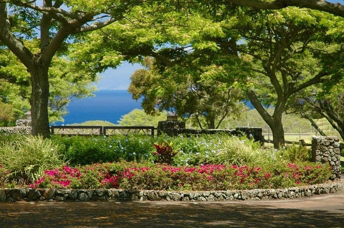 20.8 Acres of Recreational Land & Farm for Sale in Hawi, Hawaii