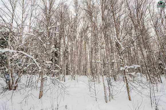 2.944 Acres of Residential Land for Sale in Fairbanks, Alaska