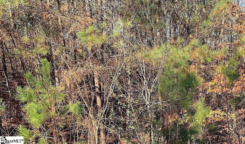 3 Acres of Residential Land for Sale in Cross Hill, South Carolina