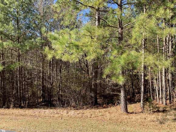 3 Acres of Residential Land for Sale in Cross Hill, South Carolina