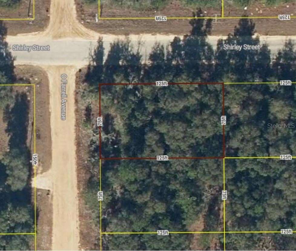 0.22 Acres of Residential Land for Sale in Interlachen, Florida