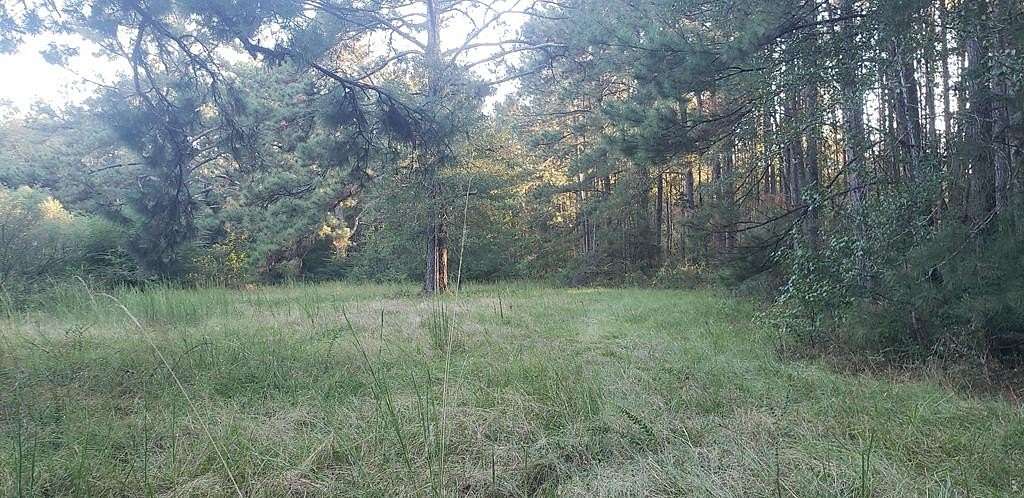 22.55 Acres of Recreational Land for Sale in Summit, Mississippi