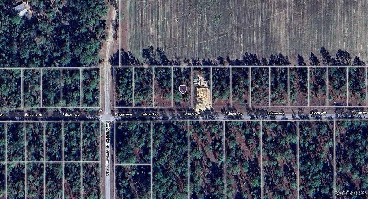 0.25 Acres of Residential Land for Sale in Dunnellon, Florida