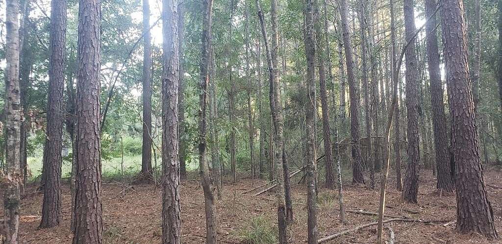 1.375 Acres of Residential Land for Sale in Summit, Mississippi