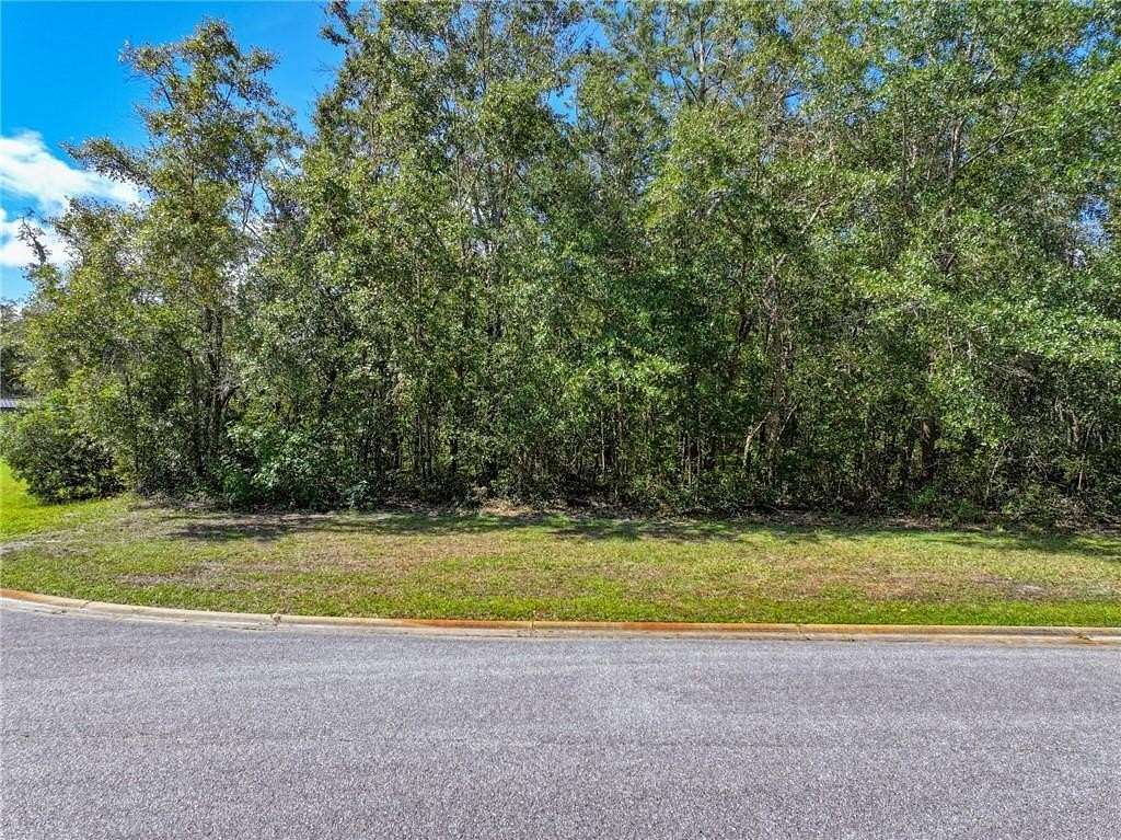 0.75 Acres of Residential Land for Sale in Waverly, Georgia