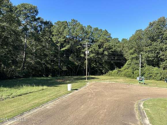 4.3 Acres of Residential Land for Sale in Collins, Mississippi