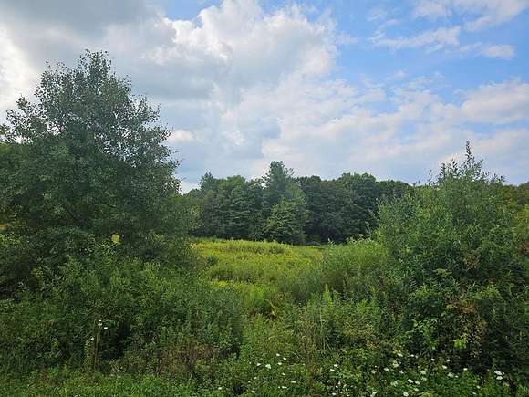 90.03 Acres of Recreational Land for Sale in Warren Center, Pennsylvania