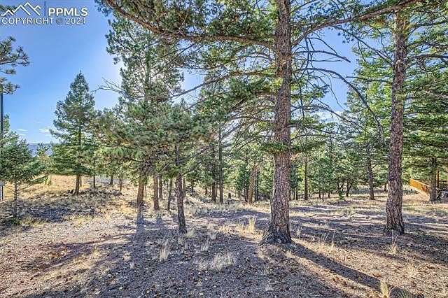 2 Acres of Land for Sale in Florissant, Colorado