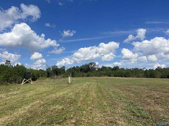 140 Acres of Recreational Land for Sale in Leighton, Alabama