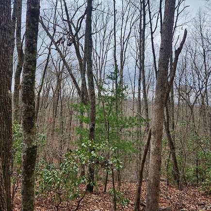 7.72 Acres of Land for Sale in Mineral Bluff, Georgia