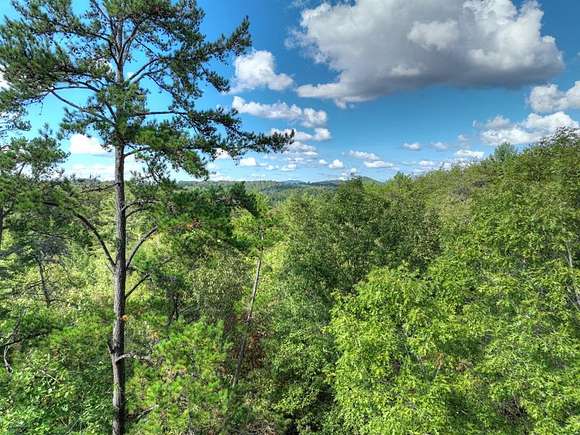 19.76 Acres of Land for Sale in Mineral Bluff, Georgia