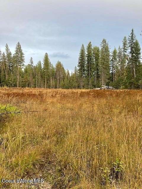 5 Acres of Land for Sale in Priest River, Idaho