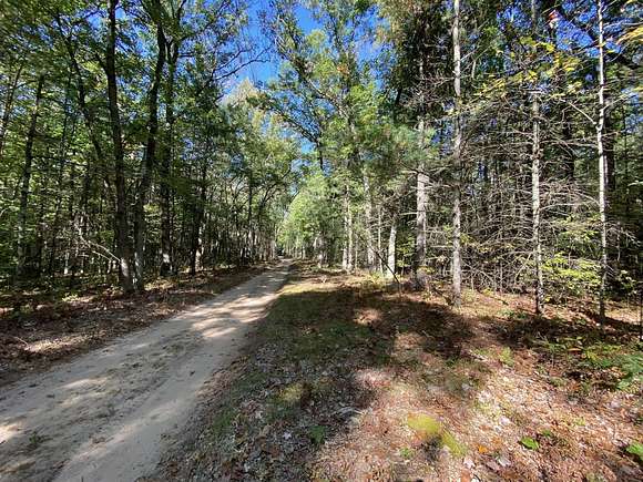 0.89 Acres of Land for Sale in Newaygo, Michigan