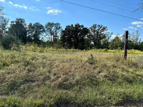 22 Acres of Recreational & Residential Land for Sale in Palestine, Texas