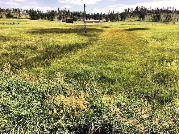 5.02 Acres of Agricultural Land for Sale in Custer, South Dakota