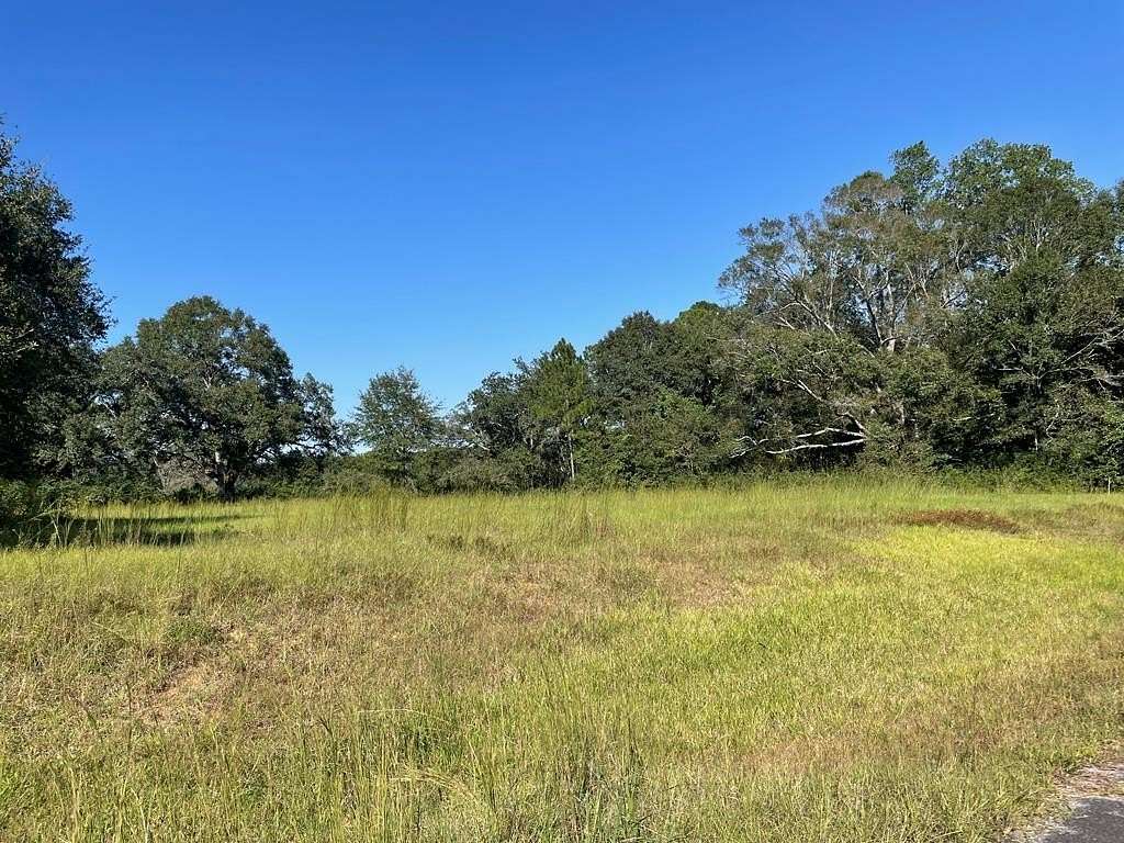 1.54 Acres of Residential Land for Sale in Carriere, Mississippi