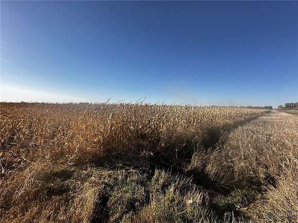 160 Acres of Agricultural Land for Auction in Belgrade, Minnesota