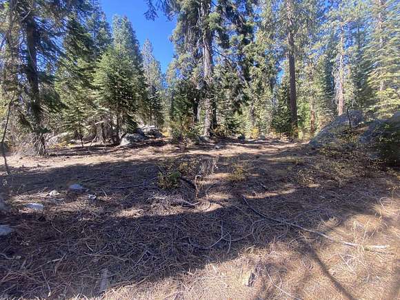 0.37 Acres of Residential Land for Sale in Springville, California