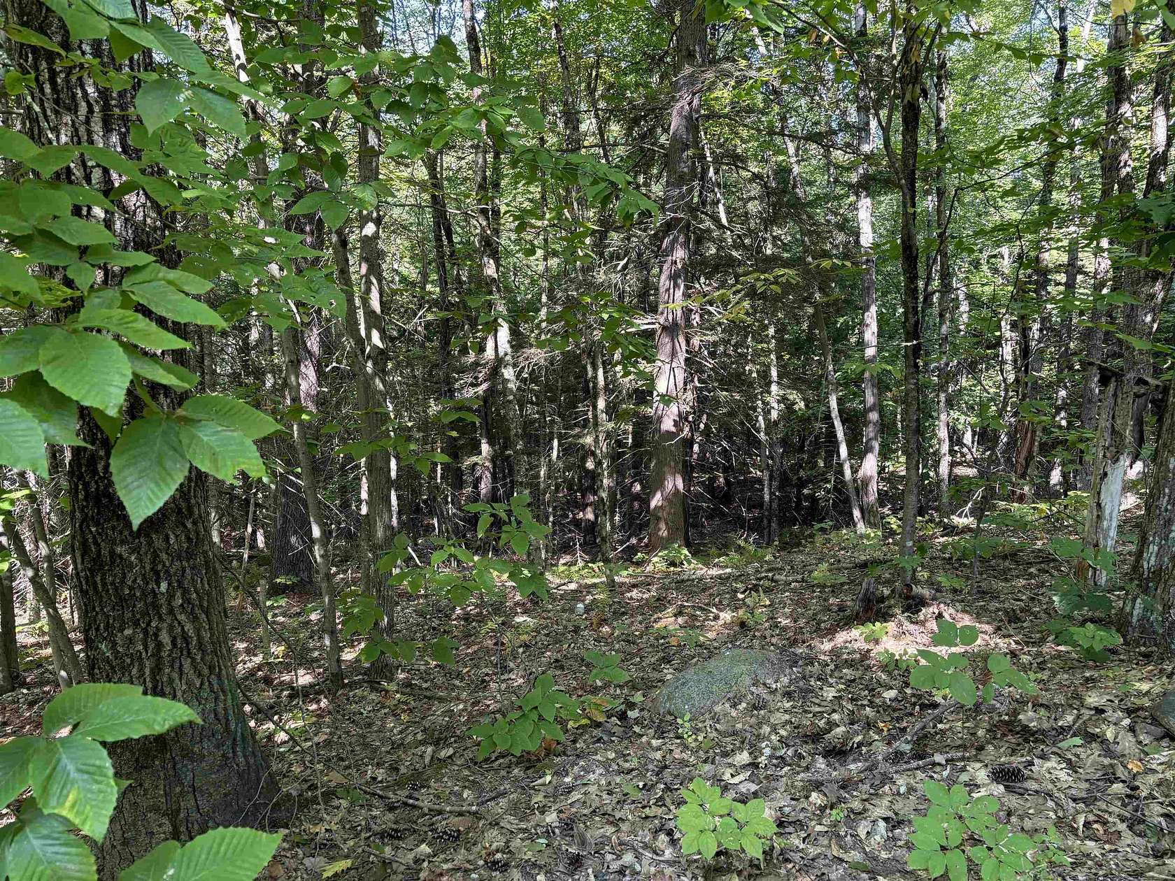 5.2 Acres of Land for Sale in Ossipee, New Hampshire