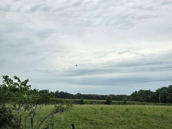 240 Acres of Land with Home for Sale in Calhoun, Missouri