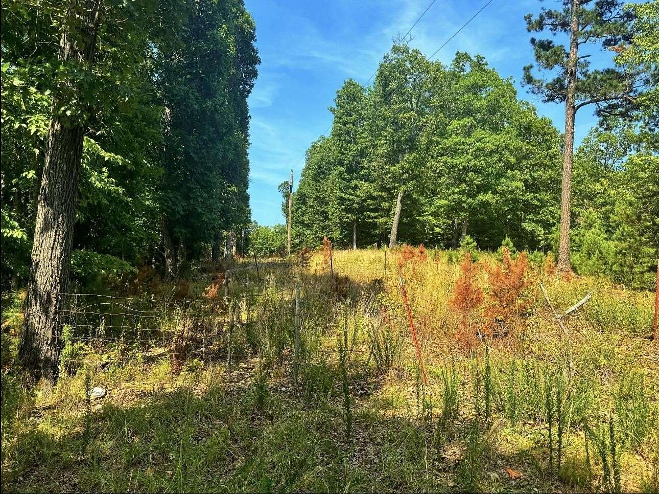 11.4 Acres of Land for Sale in Mount Judea, Arkansas