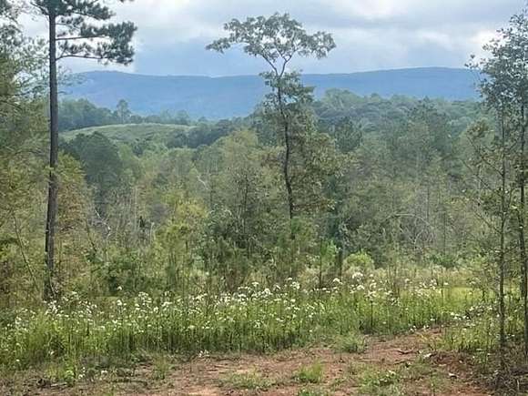 3 Acres of Residential Land with Home for Sale in Talking Rock, Georgia