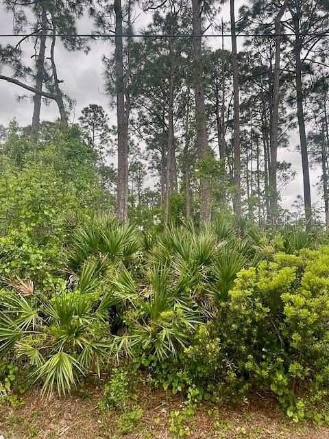 0.33 Acres of Residential Land for Sale in Palm Coast, Florida