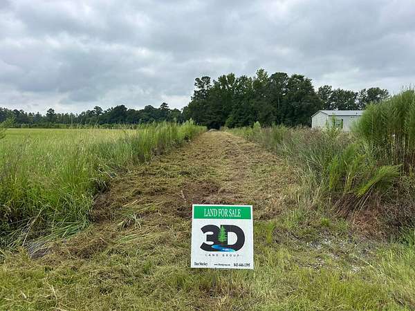 10.6 Acres of Land for Sale in Marion, South Carolina