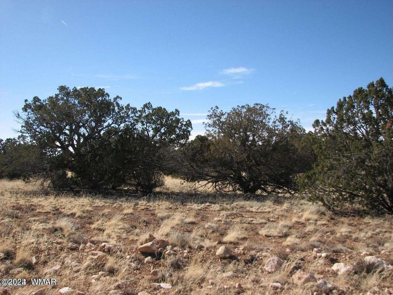 40 Acres of Recreational Land for Sale in Heber, Arizona