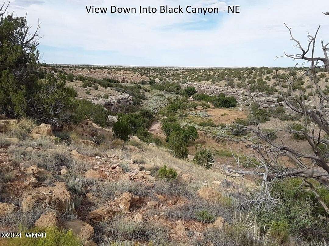 40 Acres of Recreational Land for Sale in Heber, Arizona