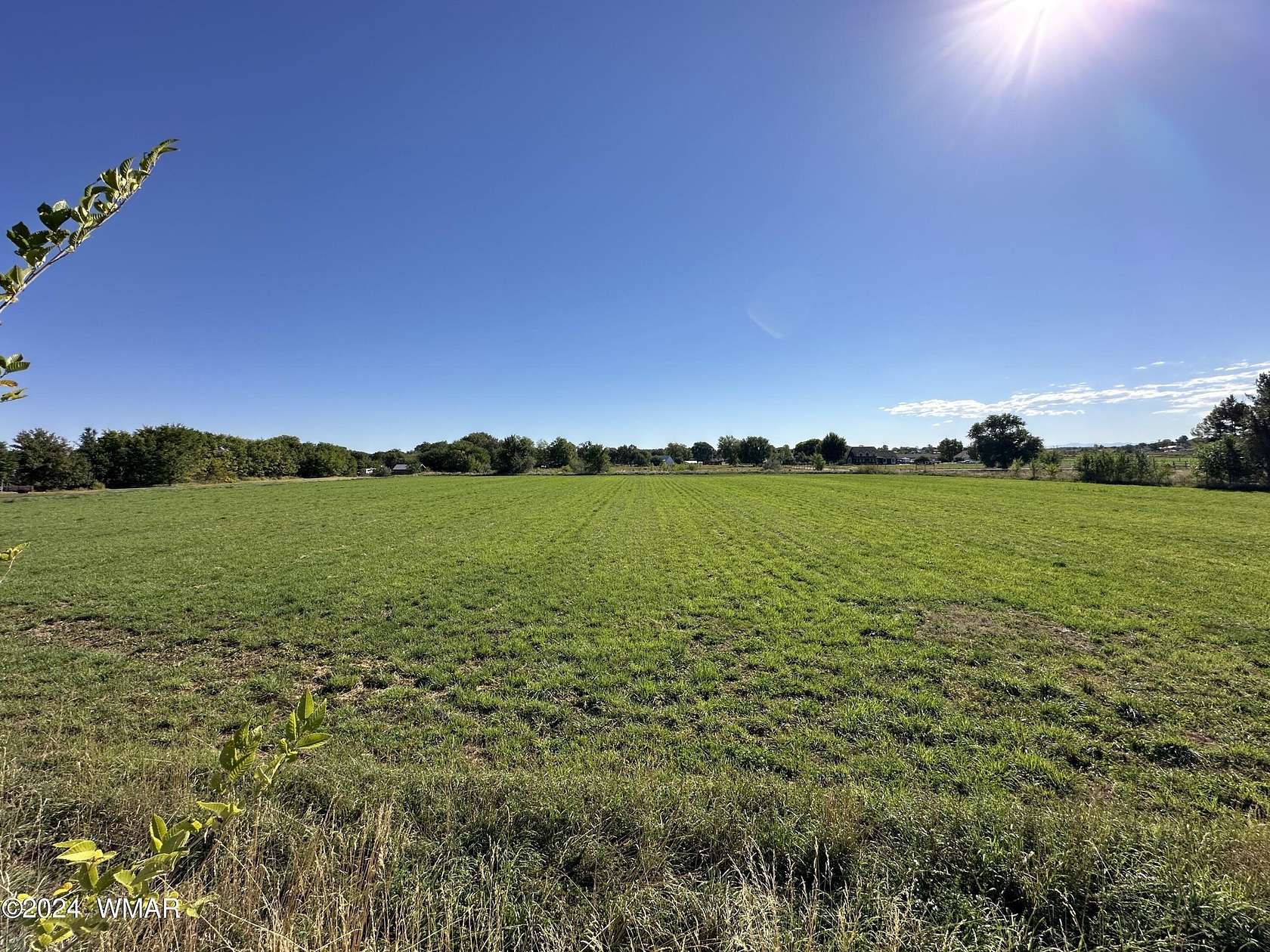 4.36 Acres of Land for Sale in Taylor, Arizona