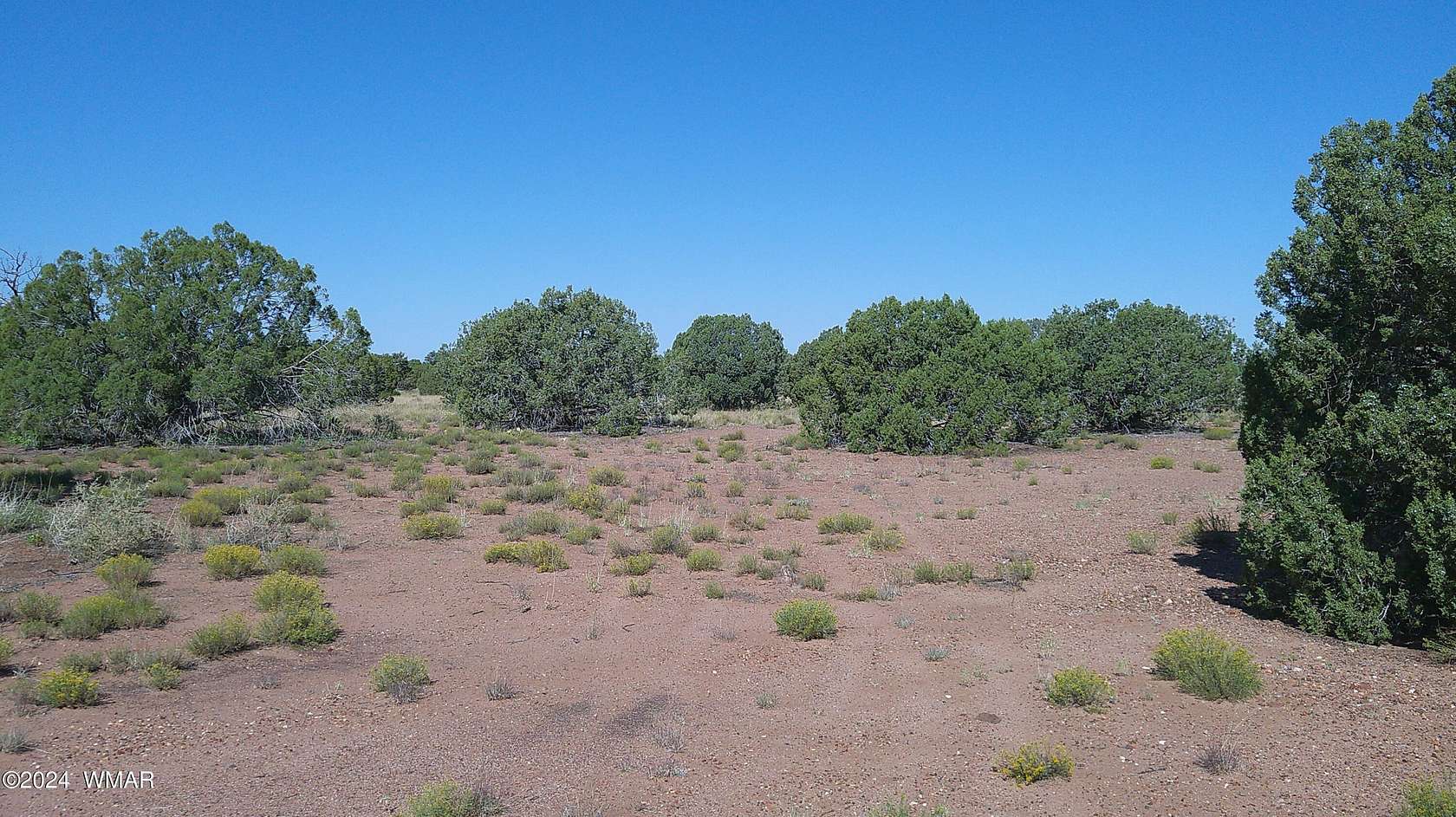 1.21 Acres of Residential Land for Sale in Snowflake, Arizona