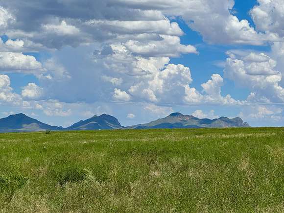 Mustang Range