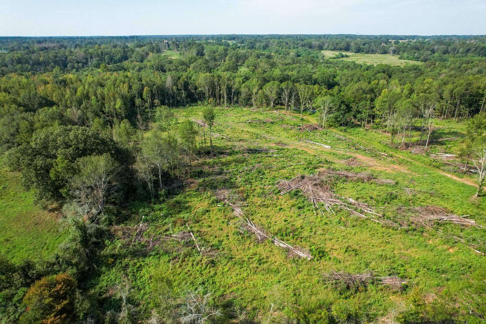 13.77 Acres of Land for Sale in Mendenhall, Mississippi