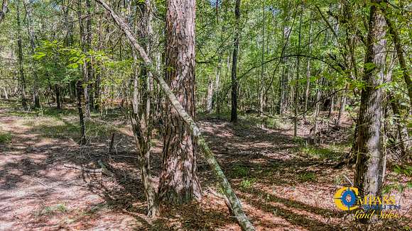 30 Acres of Land for Sale in Marion, Louisiana