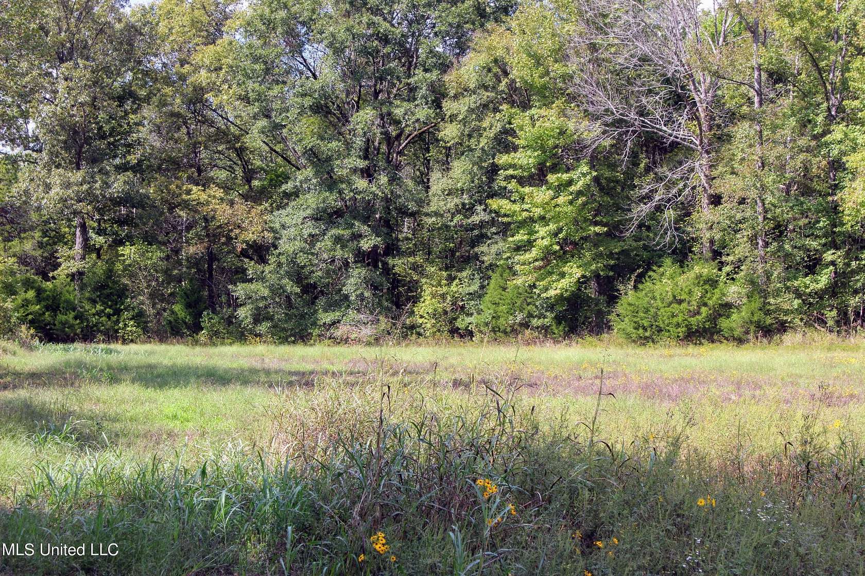 160 Acres of Land for Sale in Big Creek, Mississippi