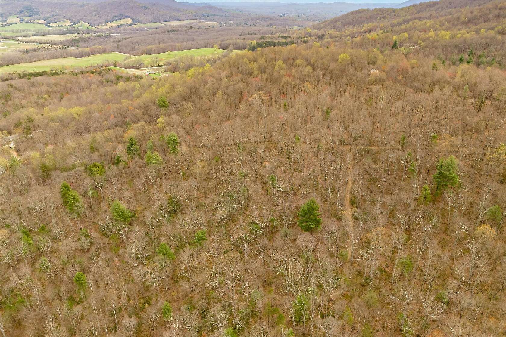 35.8 Acres of Recreational Land for Sale in Montvale, Virginia