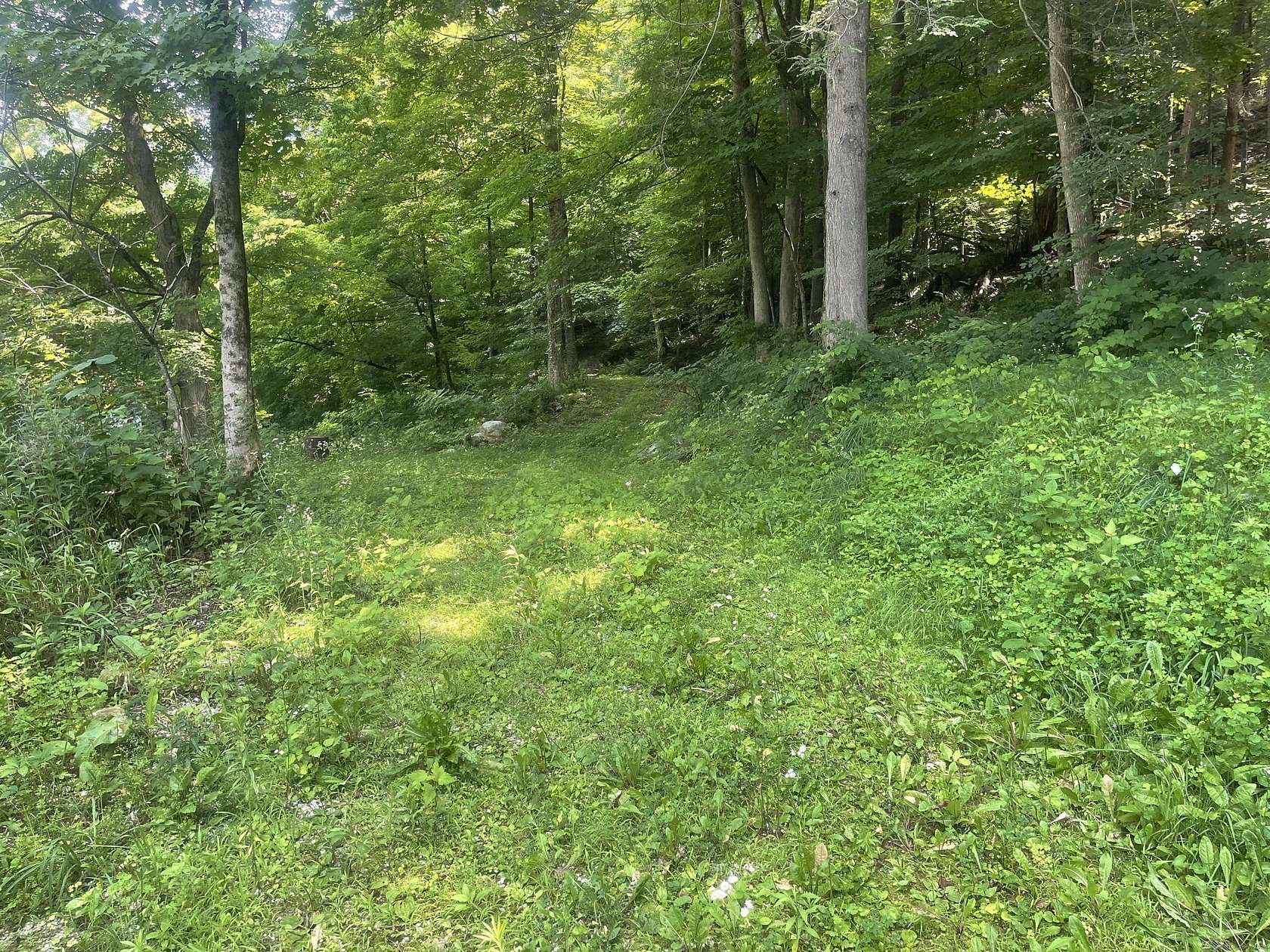 10.59 Acres of Recreational Land for Sale in Cornwall, Connecticut