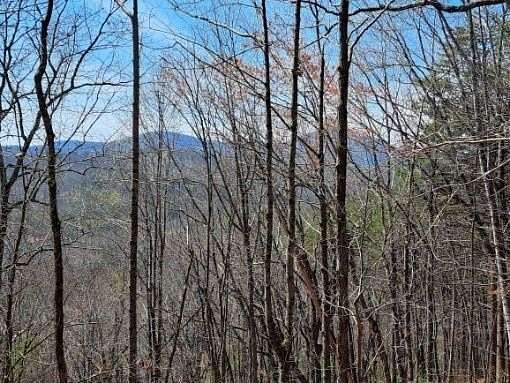 30.39 Acres of Land for Sale in Jasper, Georgia