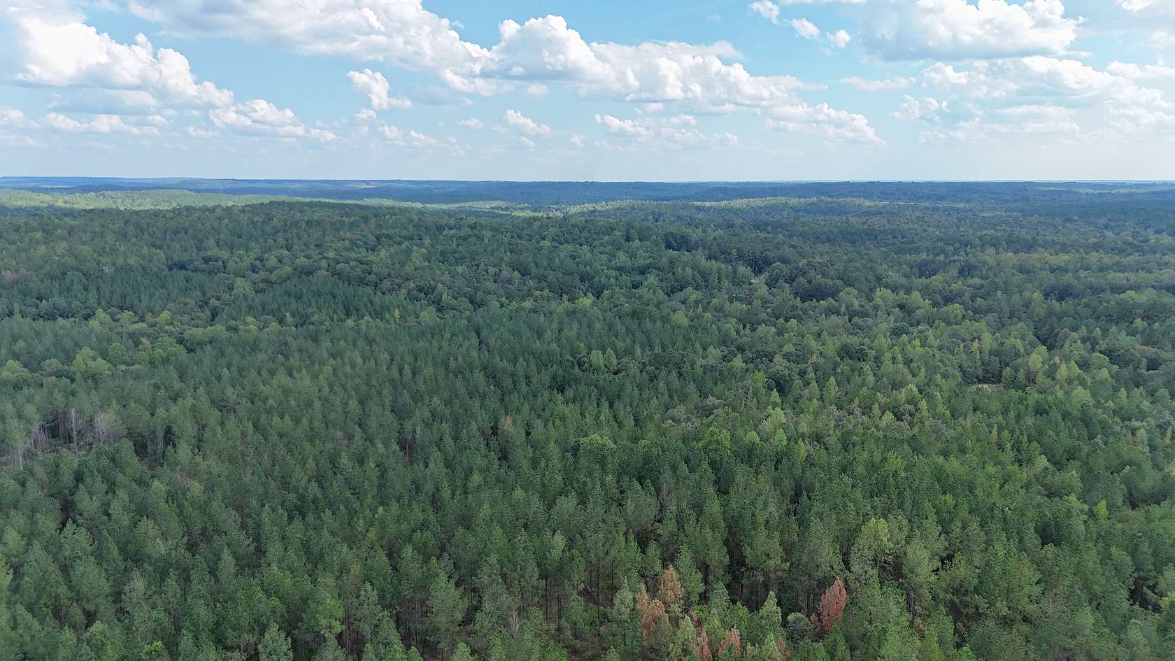 70 Acres of Recreational Land for Sale in Camp Hill, Alabama