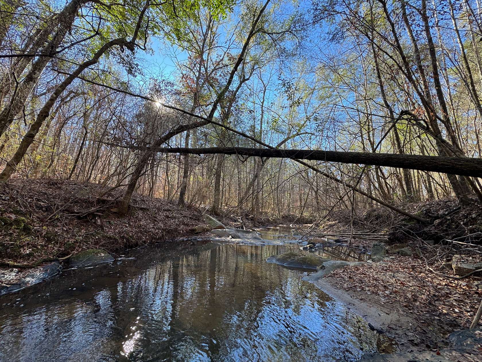 70 Acres of Recreational Land for Sale in Camp Hill, Alabama