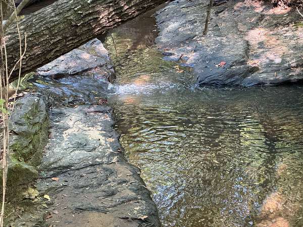 70 Acres of Recreational Land for Sale in Camp Hill, Alabama